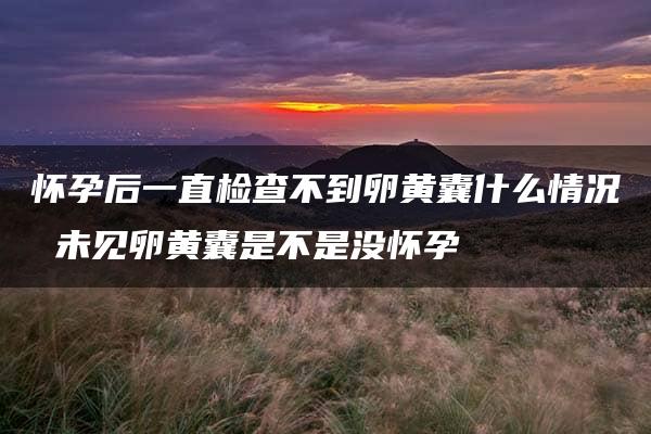 怀孕后一直检查不到卵黄囊什么情况 未见卵黄囊是不是没怀孕