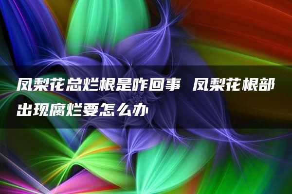 凤梨花总烂根是咋回事 凤梨花根部出现腐烂要怎么办