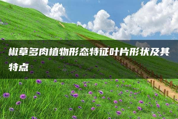 椒草多肉植物形态特征叶片形状及其特点