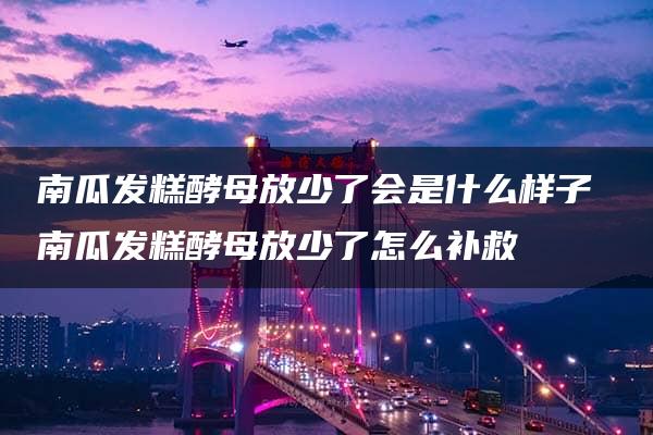 南瓜发糕酵母放少了会是什么样子 南瓜发糕酵母放少了怎么补救