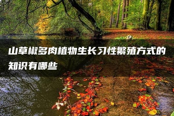 山草椒多肉植物生长习性繁殖方式的知识有哪些