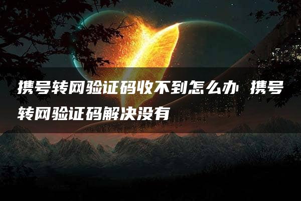 携号转网验证码收不到怎么办 携号转网验证码解决没有