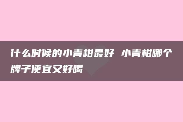 什么时候的小青柑最好 小青柑哪个牌子便宜又好喝