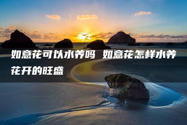 如意花可以水养吗 如意花怎样水养花开的旺盛