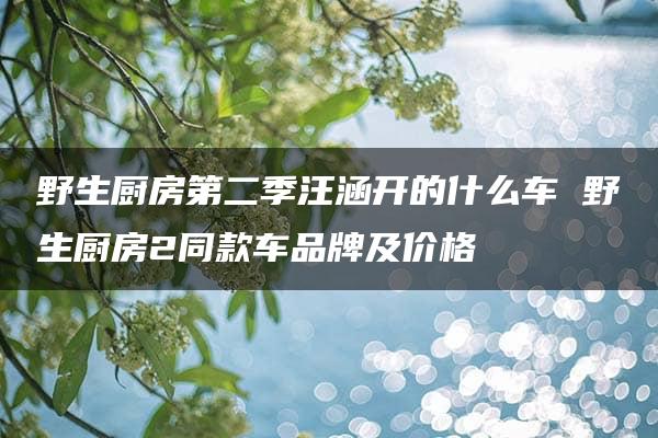 野生厨房第二季汪涵开的什么车 野生厨房2同款车品牌及价格