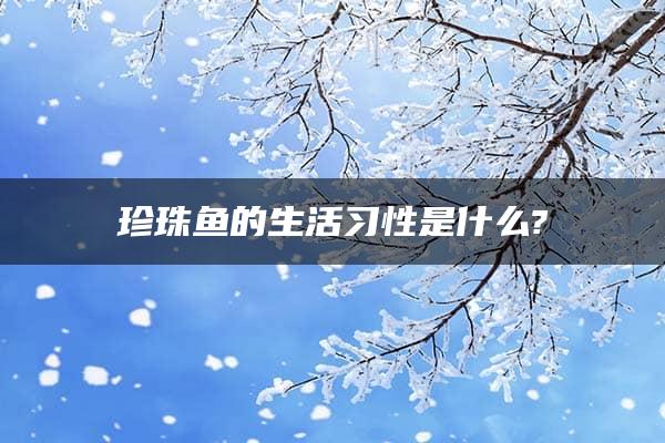 珍珠鱼的生活习性是什么?