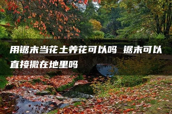 用锯末当花土养花可以吗 锯末可以直接撒在地里吗