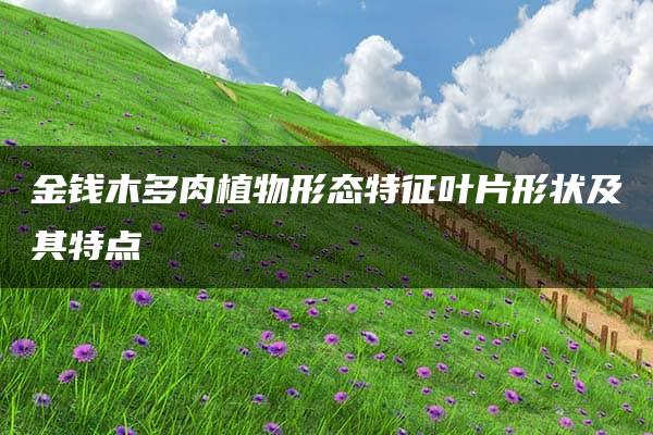 金钱木多肉植物形态特征叶片形状及其特点