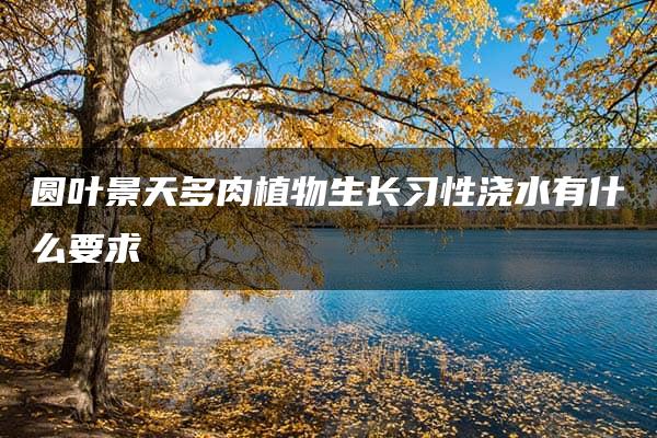 圆叶景天多肉植物生长习性浇水有什么要求