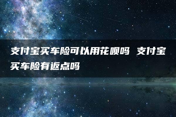 支付宝买车险可以用花呗吗 支付宝买车险有返点吗