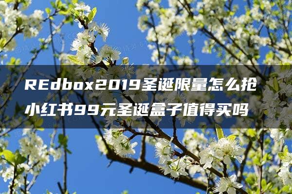 REdbox2019圣诞限量怎么抢 小红书99元圣诞盒子值得买吗