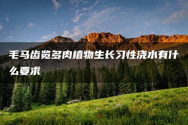 毛马齿览多肉植物生长习性浇水有什么要求