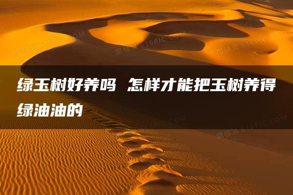 绿玉树好养吗 怎样才能把玉树养得绿油油的