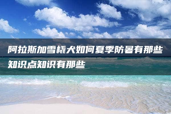 阿拉斯加雪橇犬如何夏季防暑有那些知识点知识有那些