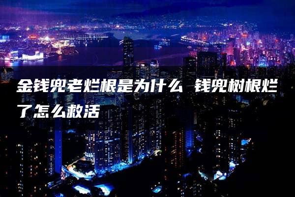 金钱兜老烂根是为什么 钱兜树根烂了怎么救活