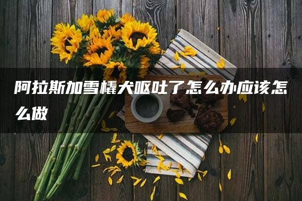 阿拉斯加雪橇犬呕吐了怎么办应该怎么做