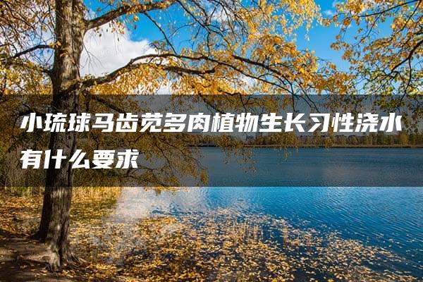 小琉球马齿苋多肉植物生长习性浇水有什么要求