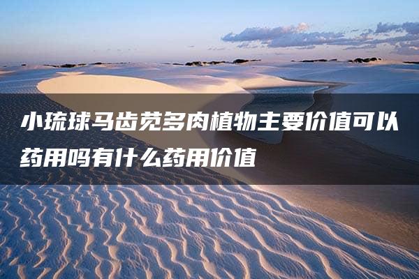 小琉球马齿苋多肉植物主要价值可以药用吗有什么药用价值