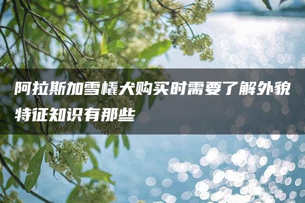 阿拉斯加雪橇犬购买时需要了解外貌特征知识有那些