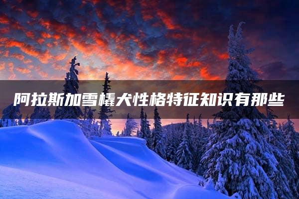 阿拉斯加雪橇犬性格特征知识有那些