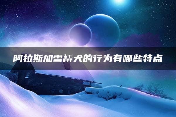 阿拉斯加雪橇犬的行为有哪些特点