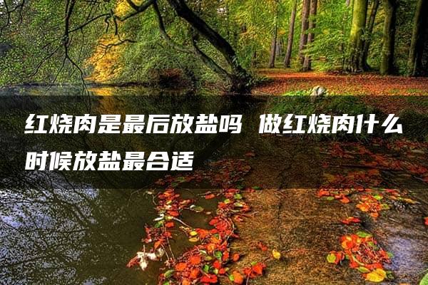 红烧肉是最后放盐吗 做红烧肉什么时候放盐最合适