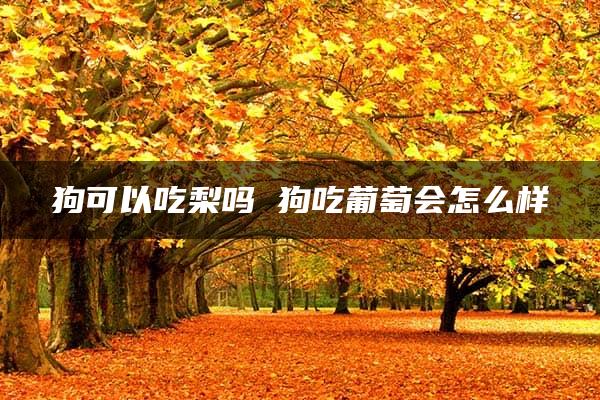 狗可以吃梨吗 狗吃葡萄会怎么样