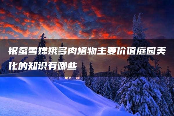 银蚕雪嫦娥多肉植物主要价值庭园美化的知识有哪些