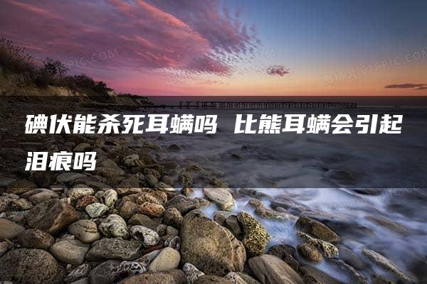 碘伏能杀死耳螨吗 比熊耳螨会引起泪痕吗