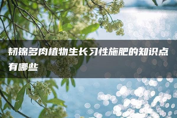 韧锦多肉植物生长习性施肥的知识点有哪些