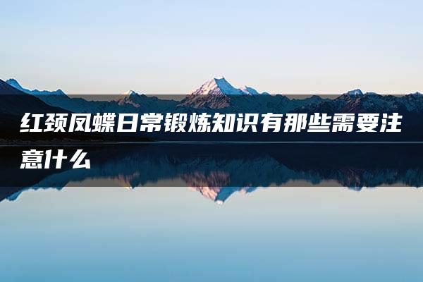 红颈凤蝶日常锻炼知识有那些需要注意什么