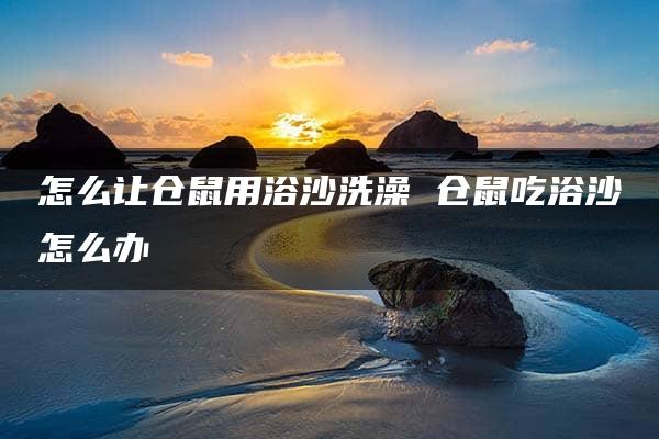 怎么让仓鼠用浴沙洗澡 仓鼠吃浴沙怎么办