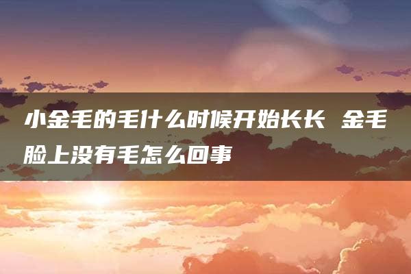 小金毛的毛什么时候开始长长 金毛脸上没有毛怎么回事