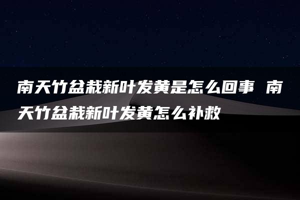 南天竹盆栽新叶发黄是怎么回事 南天竹盆栽新叶发黄怎么补救