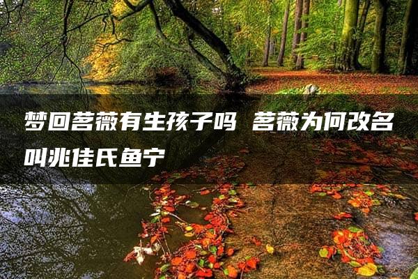 梦回茗薇有生孩子吗 茗薇为何改名叫兆佳氏鱼宁