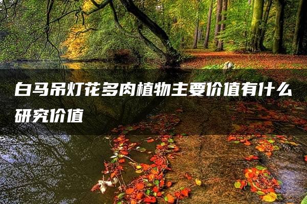 白马吊灯花多肉植物主要价值有什么研究价值