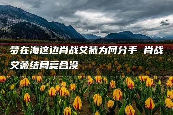 梦在海这边肖战艾薇为何分手 肖战艾薇结局复合没