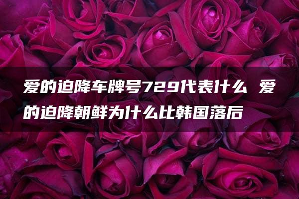 爱的迫降车牌号729代表什么 爱的迫降朝鲜为什么比韩国落后