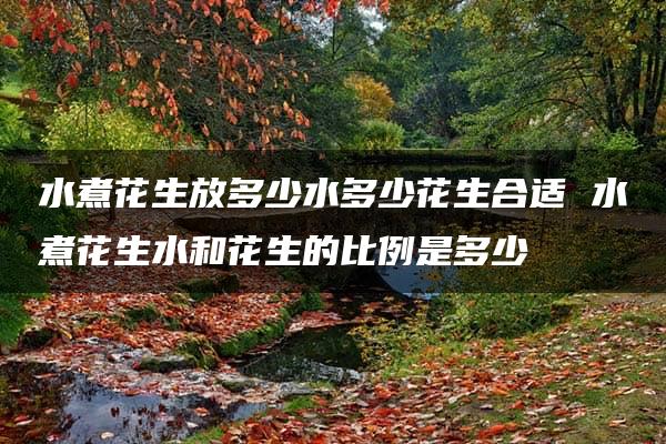 水煮花生放多少水多少花生合适 水煮花生水和花生的比例是多少