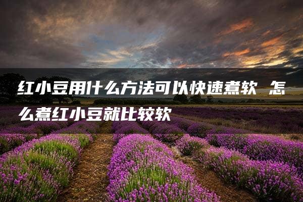 红小豆用什么方法可以快速煮软 怎么煮红小豆就比较软