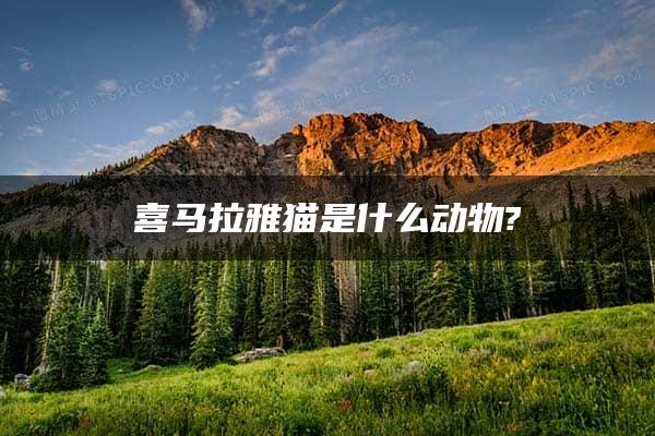 喜马拉雅猫是什么动物?