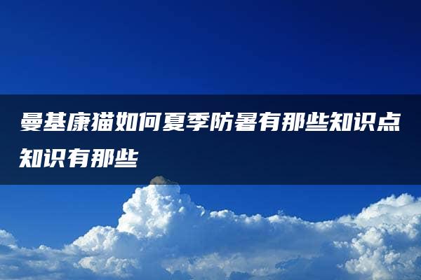 曼基康猫如何夏季防暑有那些知识点知识有那些