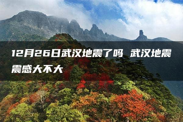 12月26日武汉地震了吗 武汉地震震感大不大