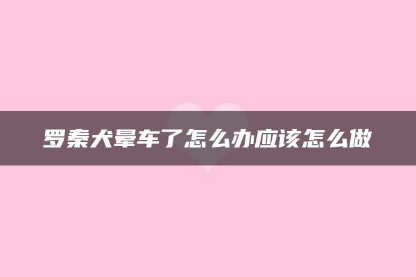 罗秦犬晕车了怎么办应该怎么做