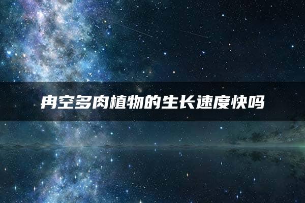 冉空多肉植物的生长速度快吗