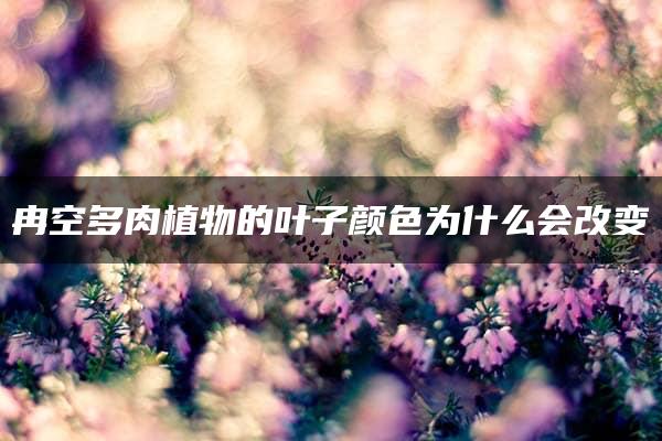 冉空多肉植物的叶子颜色为什么会改变