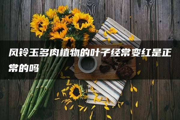 风铃玉多肉植物的叶子经常变红是正常的吗