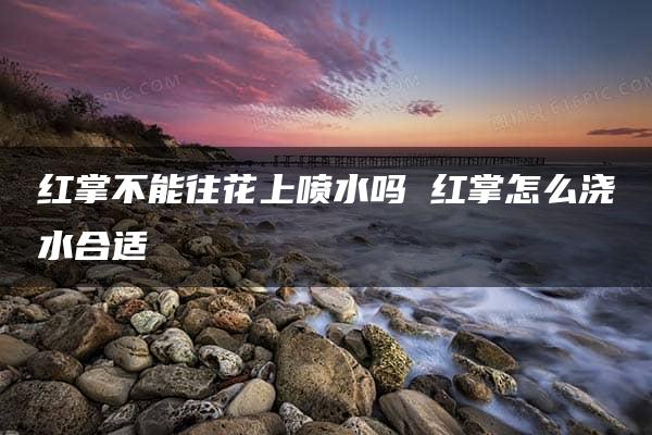 红掌不能往花上喷水吗 红掌怎么浇水合适