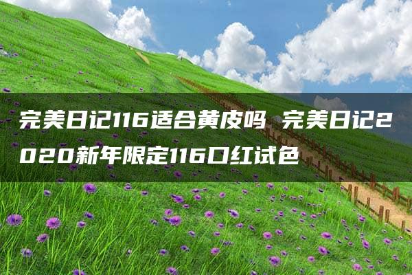 完美日记116适合黄皮吗 完美日记2020新年限定116口红试色