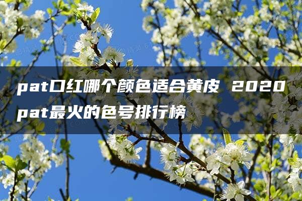 pat口红哪个颜色适合黄皮 2020pat最火的色号排行榜